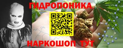 мяу мяу мука Кимры