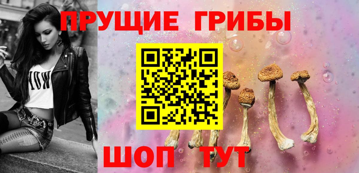 Мурино  Псилоцибиновые грибы Psilocybine cubensis  Вход с VPN 